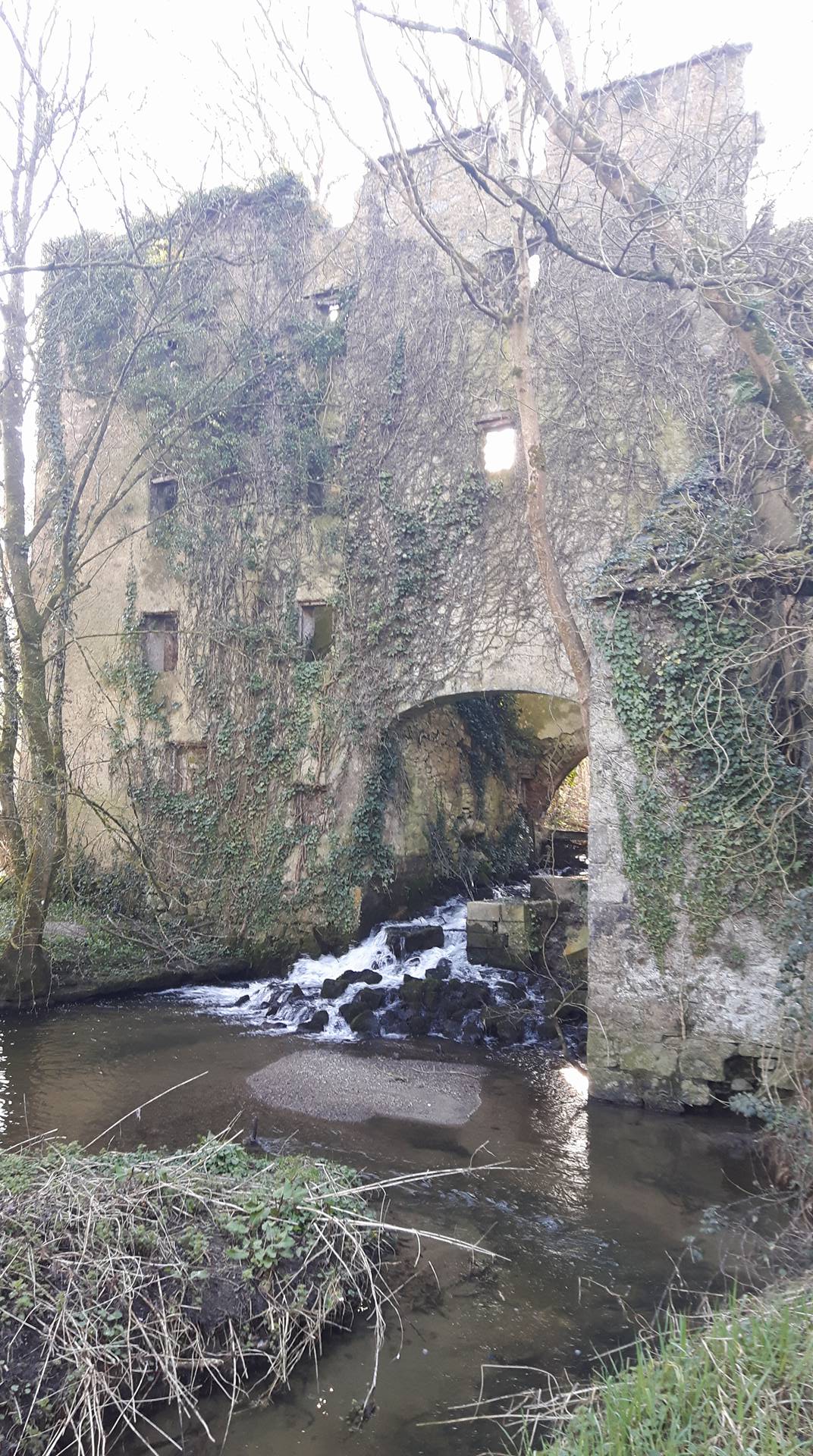 Outside view of archway under Bradleys Mill, Kells, Kilkenny.